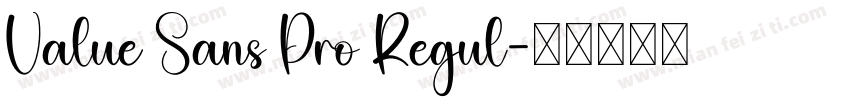 Value Sans Pro Regul字体转换